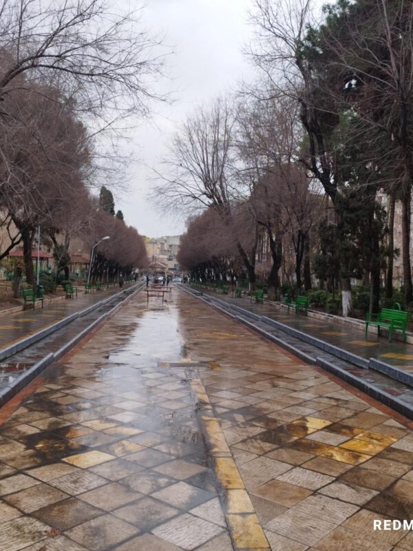 1190520_4592210 1190520_4592210