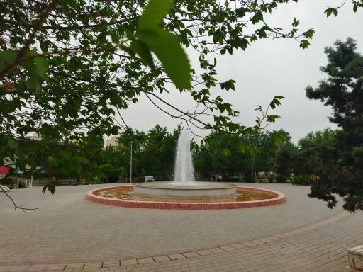 2302079_10173837_Thumbnail