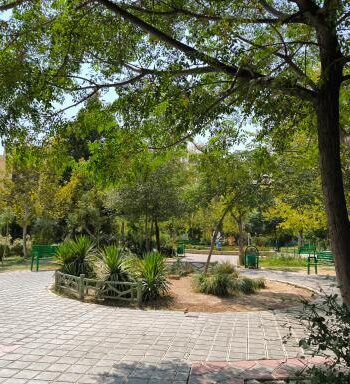 2522569_11315789_Thumbnail