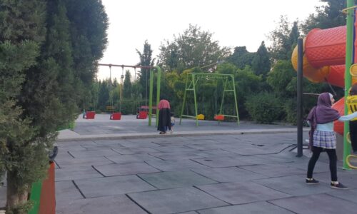 319207_766162 319207_766162