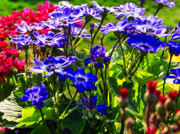 896d5454-f645-447b-ae08-8be704f09f33