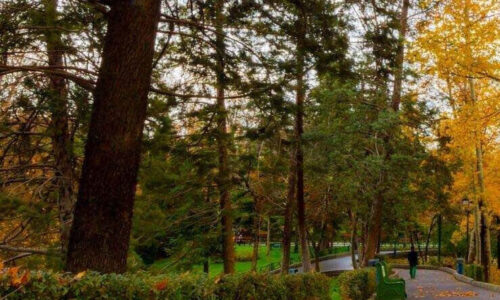 8d33ebb5-6fce-47e1-a260-a5569bc60ee9