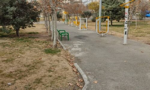 WhatsApp Image 2025-12-18 at 12.26.48