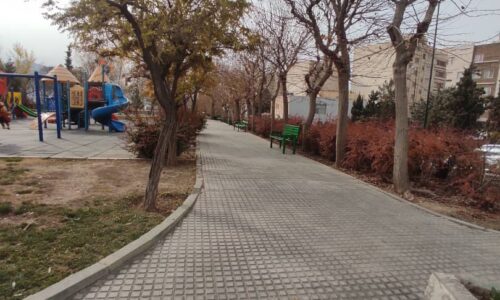 WhatsApp Image 2025-12-18 at 12.26.51