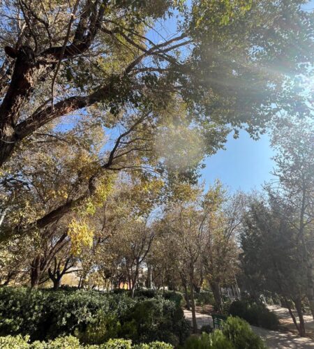 WhatsApp Image 2025-12-18 at 13.02.05 WhatsApp Image 2025-12-18 at 13.02.05