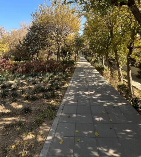 WhatsApp Image 2025-12-18 at 13.02.06 WhatsApp Image 2025-12-18 at 13.02.06