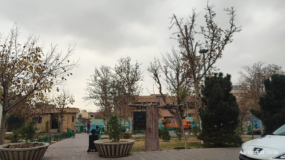 WhatsApp Image 2025-12-18 at 14.23.33