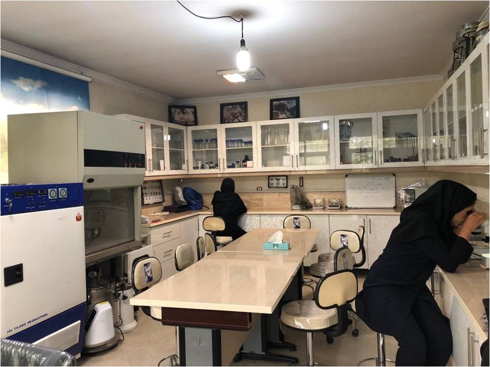 WhatsApp Image 2025-12-20 at 10.58.54