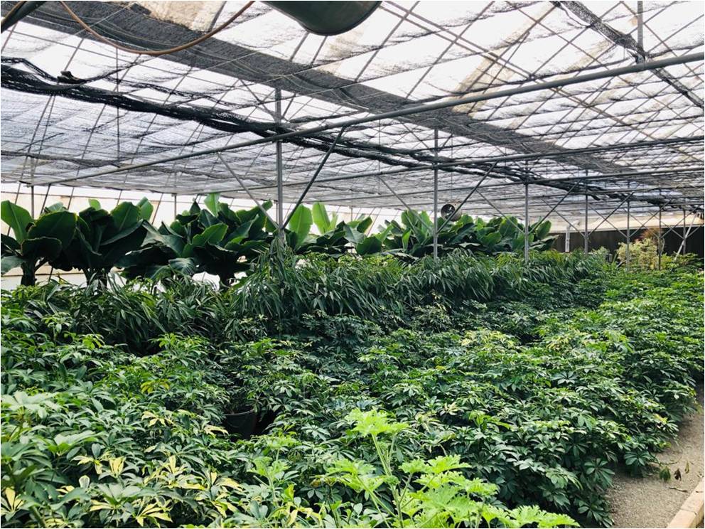 WhatsApp Image 2025-12-20 at 10.58.57