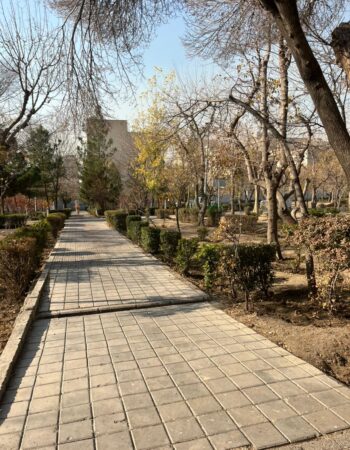 WhatsApp Image 2025-12-20 at 14.37.25