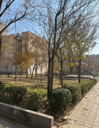 WhatsApp Image 2025-12-20 at 14.37.28