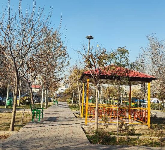 WhatsApp Image 2025-12-21 at 14.04.21 WhatsApp Image 2025-12-21 at 14.04.21