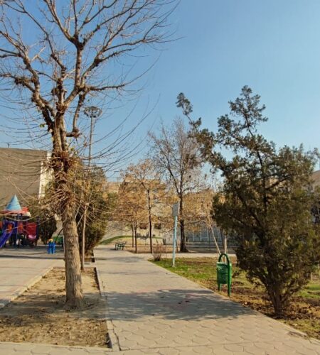 WhatsApp Image 2025-12-21 at 14.04.25 WhatsApp Image 2025-12-21 at 14.04.25