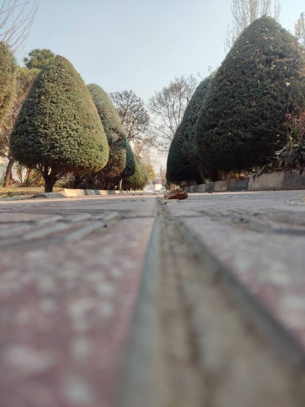 WhatsApp Image 2025-12-21 at 14.04.50