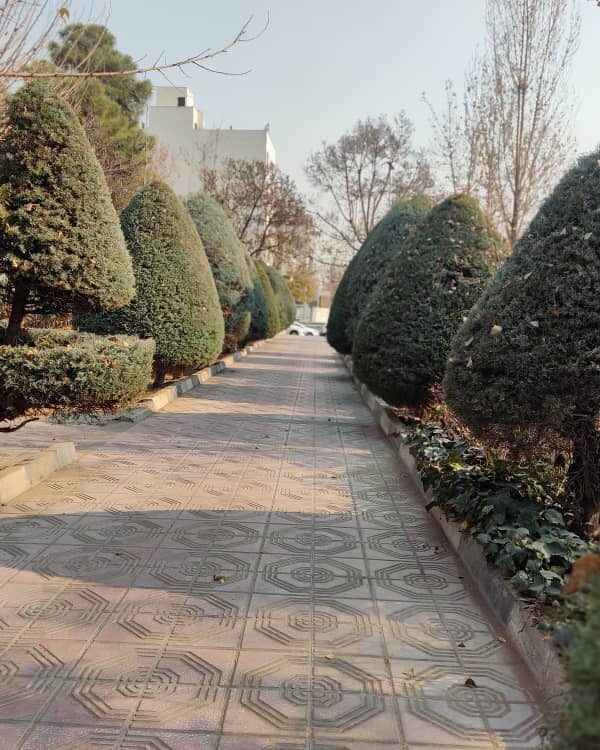 WhatsApp Image 2025-12-21 at 14.04.52