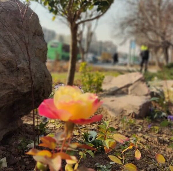 WhatsApp Image 2025-12-21 at 14.04.54