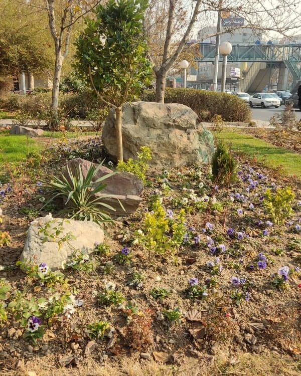 WhatsApp Image 2025-12-21 at 14.05.13