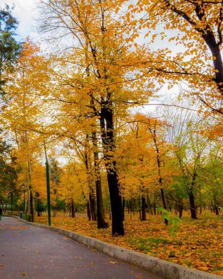 dd194f9d-3b90-44bd-95a3-8f75e798fc51