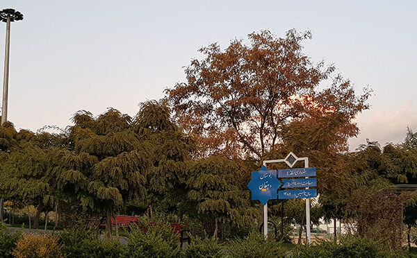 بوستان-دهقان-مجیدیه بوستان-دهقان-مجیدیه