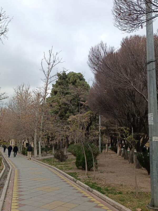 WhatsApp Image 2026-01-05 at 10.56.19 WhatsApp Image 2026-01-05 at 10.56.19